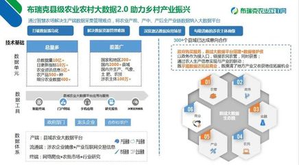 杨岳一行考察布瑞克农业互联网公司，聚焦互联网数据服务赋能现代农业
