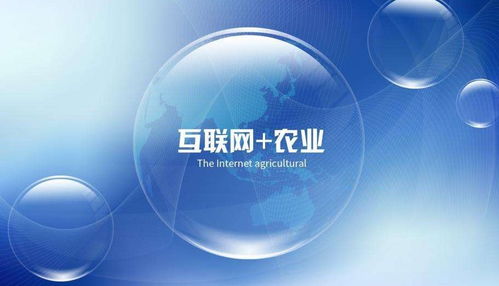乡村振兴背景下的互联网农业 互联网数据服务面临的障碍与应对